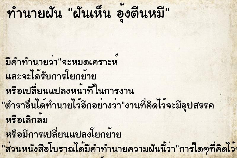 ทำนายฝันฝันเห็นอุ้งตีนหมี ทำนายฝันทำนายฝันฝันเห็นอุ้งตีนหมี